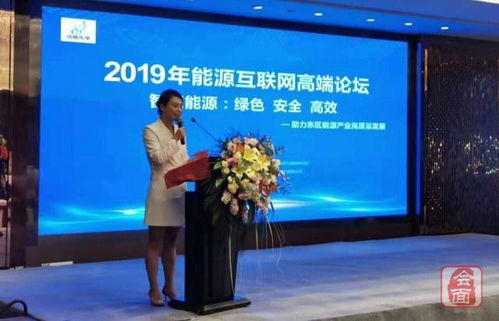 新闻 业内专家齐聚郑州探讨能源转型和能源互联网建设