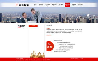 中东投资网站建设案例展示
